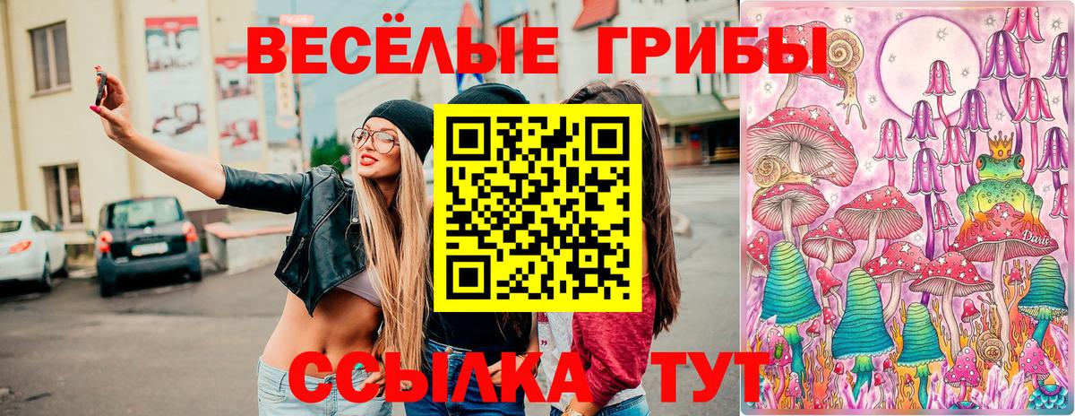 Кандалакша  Псилоцибиновые грибы мицелий  Вход с VPN  Галлюциногенные грибы GOLDEN TEACHER 
